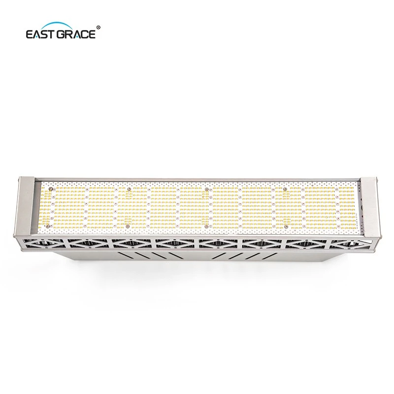 LED 240W (4)